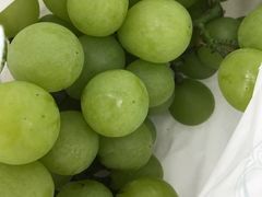 -美家乐农庄·露营·团建(大治路店)