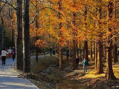 -白水寺森林公园