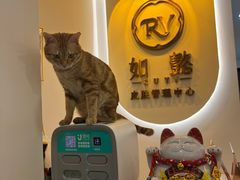 -金中环国际商务大厦