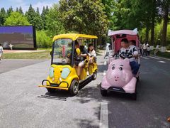 -黄海国家森林公园