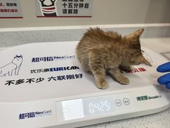 -御宝贝24h宠物医院·转诊中心·CT核磁血透中心(厦门总院)