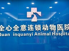 -全心全意连锁动物医院·微创中心·内科急重症·心脏专科(丰管路店)