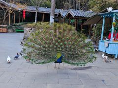 -天目湖御水温泉·度假酒店