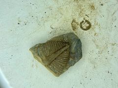 -房山世界地质公园博物馆