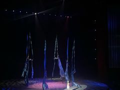 -水秀国际大剧院