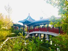 -迎泽公园