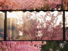 -新江湾城公园