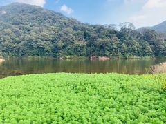 -广州市石门国家森林公园