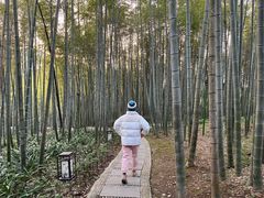 -杭州黄龙洞