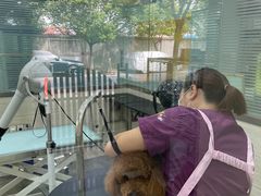 -暖阳宠物医院·犬猫康复中心·骨科