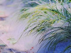 -白塘生态植物园