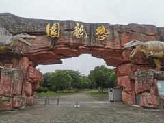 -上海海湾国家森林公园