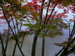 -嘉定博物馆
