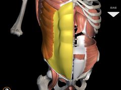 -上海市杨浦区牙病防治所