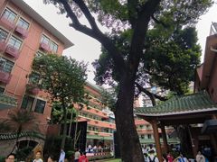 -文德路小学(南校区)