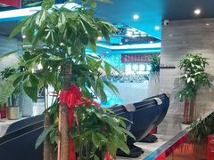-小蓝鲸游泳培训基地(石景山店)