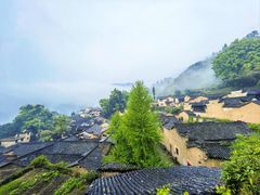 -杨家堂村