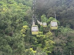 -黔灵山公园