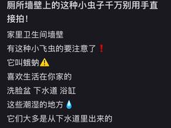 -鹅簋(顺德总店)