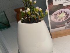 -春树下·树屋花房西餐厅(罍街AS1980店)