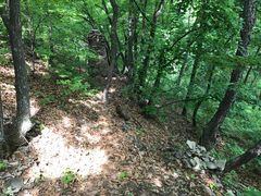 -帽儿山国家森林公园