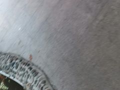 -荔城生鲜盛宴(番禺旗舰店)