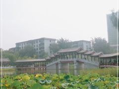 -西海子公园