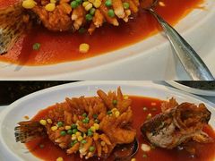 松鼠大富大桂鱼-好福记饭店(红梅公园店)