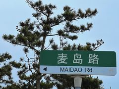 -小麦岛公园