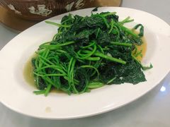炝炒红苕尖-西木兔(大圆祥店)