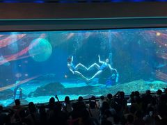 -海合安成都极地海洋公园