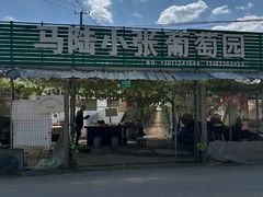 -马陆小张葡萄园农家乐