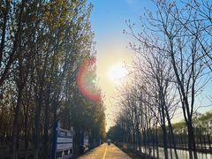 -西青郊野公园