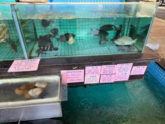 -荔城生鲜盛宴(番禺旗舰店)