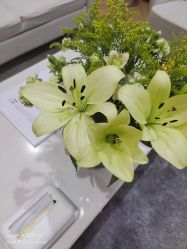-HEYAN荷妍专业脱毛连锁机构