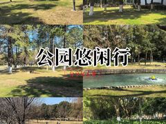 -中央公园(苏州工业园区)