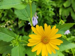 -云峰山自然风景区