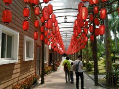 -揭东万竹园旅游景区