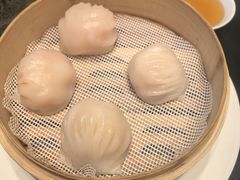 -金粤九号(李公堤店)