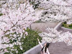 -杭州少年儿童公园
