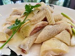 -红星光发煲仔饭(文海店)