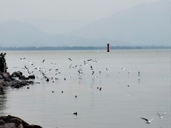 -深圳湾公园(南山区)