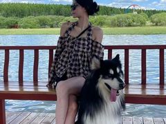 -博特宠物医院24h犬猫全科.骨科·异宠