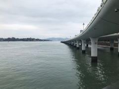 -演武大桥观景平台