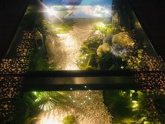 -海玥荟海鲜姿造自助餐厅(欧罗巴广场店)