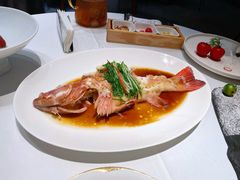 野葱麒麟蒸东星斑-粤界(望京金辉店)