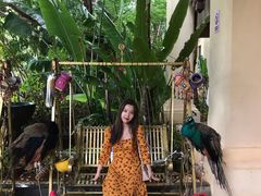 -西双版纳融创皇冠假日度假酒店