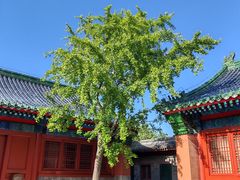 -历代帝王庙博物馆