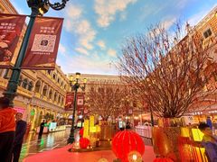 -澳门威尼斯人综合度假区
