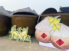 -苏州市吴中区光福窑上花果蜜饯厂